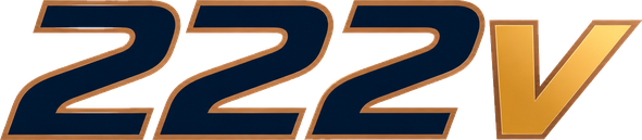 222v Logo